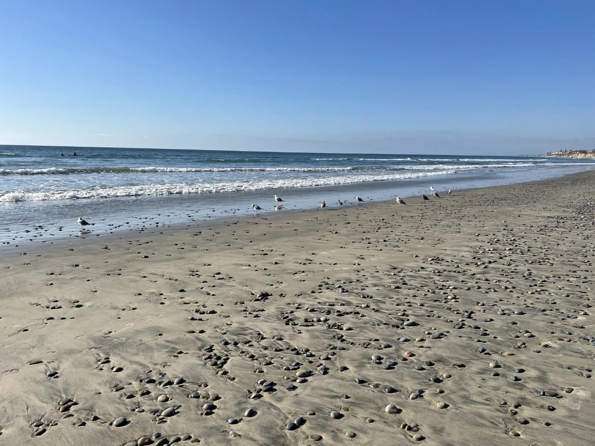 Holiday Inn Carlsbad/San Diego By Ihg Экстерьер фото
